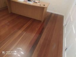 https://img.olx.com.br/thumbs256x256/22/228532637425024.jpg