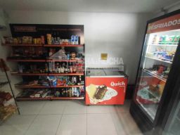 https://img.olx.com.br/thumbs256x256/22/228567516082641.jpg