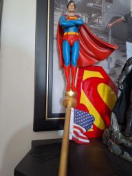 https://img.olx.com.br/thumbs256x256/22/229542135125055.jpg