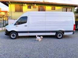 https://img.olx.com.br/thumbs256x256/22/229635400646257.jpg