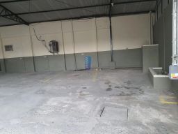 https://img.olx.com.br/thumbs256x256/23/231500769338626.jpg