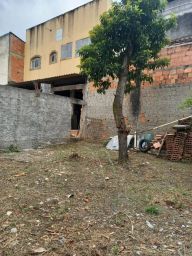 https://img.olx.com.br/thumbs256x256/23/231508144049033.jpg