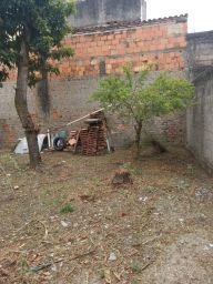 https://img.olx.com.br/thumbs256x256/23/231550626255937.jpg