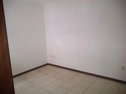 https://img.olx.com.br/thumbs256x256/23/231590645599267.jpg