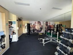 https://img.olx.com.br/thumbs256x256/23/231596044315933.jpg