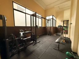 https://img.olx.com.br/thumbs256x256/23/232527167866844.jpg