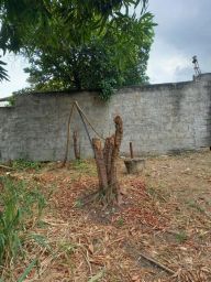 https://img.olx.com.br/thumbs256x256/23/232536507228660.jpg