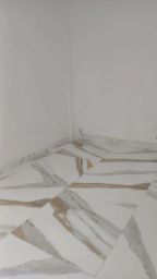 https://img.olx.com.br/thumbs256x256/23/232548285778409.jpg