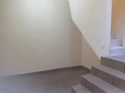 https://img.olx.com.br/thumbs256x256/23/233556275572928.jpg