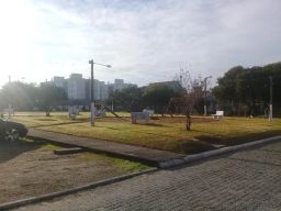 https://img.olx.com.br/thumbs256x256/23/233588270904234.jpg