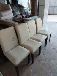 https://img.olx.com.br/thumbs256x256/23/235481886350019.jpg