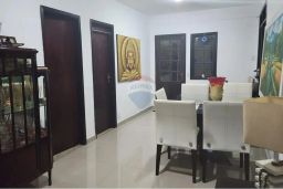 https://img.olx.com.br/thumbs256x256/23/235549157094730.jpg
