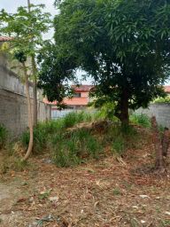 https://img.olx.com.br/thumbs256x256/23/235560502439267.jpg