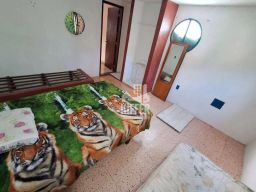 https://img.olx.com.br/thumbs256x256/23/235571888661425.jpg