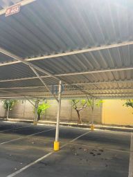 https://img.olx.com.br/thumbs256x256/23/235620559300629.jpg