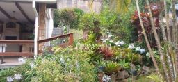 https://img.olx.com.br/thumbs256x256/23/236346463639738.jpg