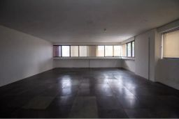 https://img.olx.com.br/thumbs256x256/23/236558766282509.jpg