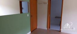 https://img.olx.com.br/thumbs256x256/23/236595629038633.jpg
