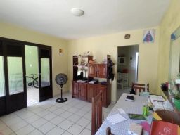 https://img.olx.com.br/thumbs256x256/23/237568039930160.jpg