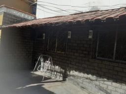 https://img.olx.com.br/thumbs256x256/23/238538159545660.jpg