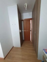 https://img.olx.com.br/thumbs256x256/23/238647315595218.jpg