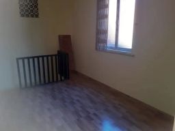https://img.olx.com.br/thumbs256x256/23/239526397398051.jpg
