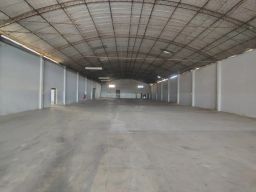 https://img.olx.com.br/thumbs256x256/23/239653319280584.jpg