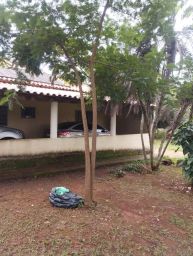 https://img.olx.com.br/thumbs256x256/24/240532644029828.jpg
