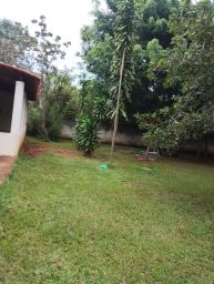 https://img.olx.com.br/thumbs256x256/24/241519522883148.jpg