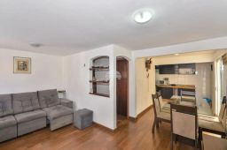 https://img.olx.com.br/thumbs256x256/24/241559160780883.jpg