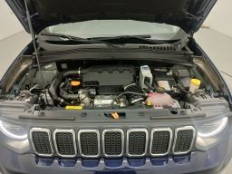 https://img.olx.com.br/thumbs256x256/24/241638192139493.jpg