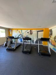 https://img.olx.com.br/thumbs256x256/24/242546149324728.jpg