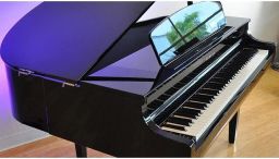 https://img.olx.com.br/thumbs256x256/24/243426311366052.jpg