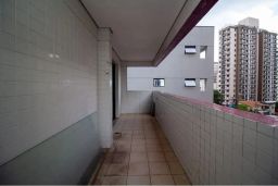 https://img.olx.com.br/thumbs256x256/24/243523644903095.jpg