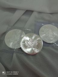 https://img.olx.com.br/thumbs256x256/24/243544764083167.jpg