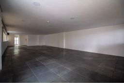 https://img.olx.com.br/thumbs256x256/24/243569046279682.jpg