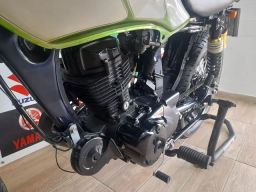 https://img.olx.com.br/thumbs256x256/24/244398312126326.jpg