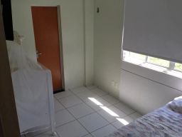 https://img.olx.com.br/thumbs256x256/24/244513278312575.jpg