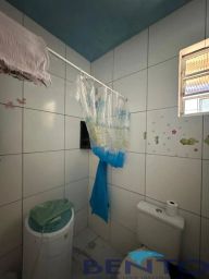 https://img.olx.com.br/thumbs256x256/24/244520393226264.jpg