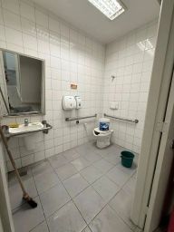 https://img.olx.com.br/thumbs256x256/24/244527394489753.jpg