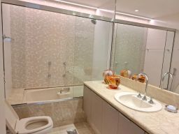 https://img.olx.com.br/thumbs256x256/24/244531149534301.jpg