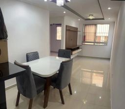 https://img.olx.com.br/thumbs256x256/24/244534270087788.jpg