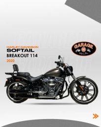 https://img.olx.com.br/thumbs256x256/24/244560265479986.jpg