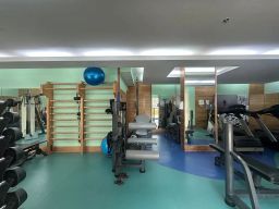 https://img.olx.com.br/thumbs256x256/24/244566048858711.jpg