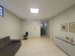 https://img.olx.com.br/thumbs256x256/24/244572043355489.jpg