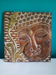 https://img.olx.com.br/thumbs256x256/24/244582285296326.jpg