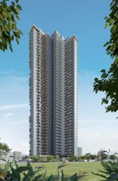 https://img.olx.com.br/thumbs256x256/24/244625933135186.jpg