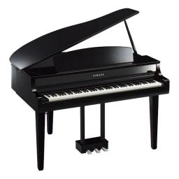 https://img.olx.com.br/thumbs256x256/24/245423798914335.jpg