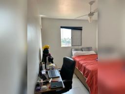 https://img.olx.com.br/thumbs256x256/24/245528756047773.jpg