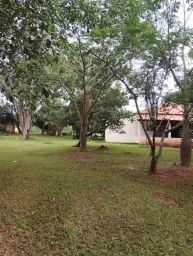 https://img.olx.com.br/thumbs256x256/24/245532288969776.jpg